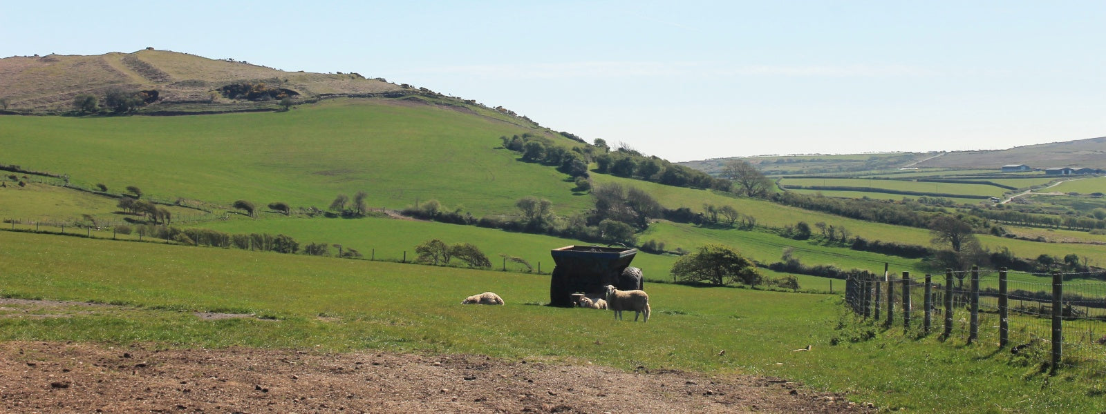 UK Farm pasture with three sheep around towed farming equipment set to rolling fields and blue sky.